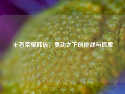 王者荣耀韩信，灵动之下的挑战与探索