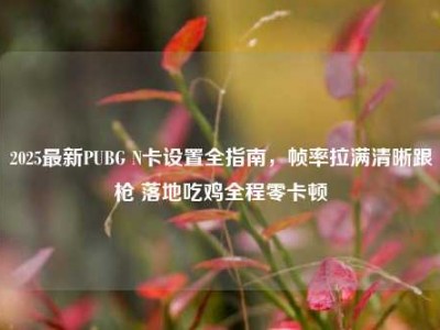 2025最新PUBG N卡设置全指南，帧率拉满清晰跟枪 落地吃鸡全程零卡顿