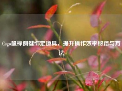 Csgo鼠标侧键绑定道具，提升操作效率秘籍与方法