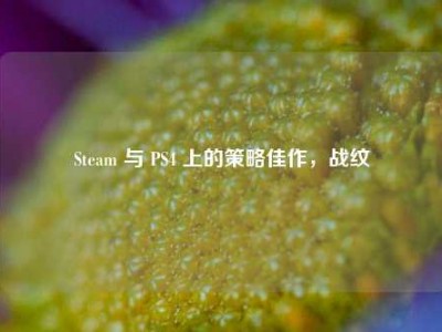 Steam 与 PS4 上的策略佳作，战纹