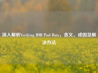 深入解析Verifying DMI Pool Data，含义、成因及解决办法