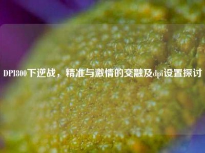 DPI800下逆战，精准与激情的交融及dpi设置探讨