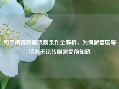 和平精英转服限制条件全解析，为何微信区等情况无法转服需提前知晓