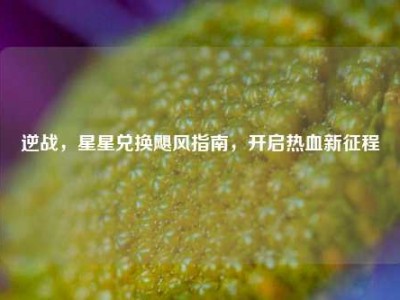 逆战，星星兑换飓风指南，开启热血新征程