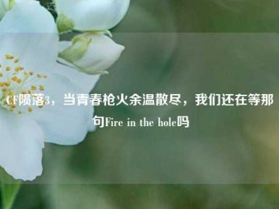CF陨落3，当青春枪火余温散尽，我们还在等那句Fire in the hole吗