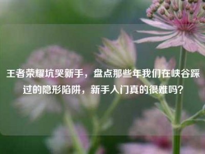 王者荣耀坑哭新手，盘点那些年我们在峡谷踩过的隐形陷阱，新手入门真的很难吗？