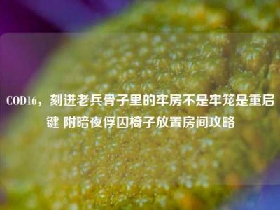 COD16，刻进老兵骨子里的牢房不是牢笼是重启键 附暗夜俘囚椅子放置房间攻略