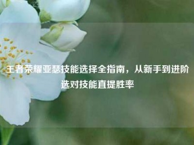 王者荣耀亚瑟技能选择全指南，从新手到进阶选对技能直提胜率