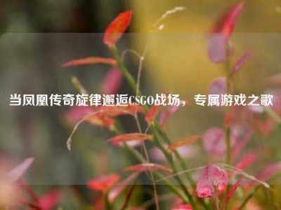 当凤凰传奇旋律邂逅CSGO战场，专属游戏之歌