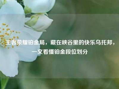 王者荣耀铂金局，藏在峡谷里的快乐乌托邦，一文看懂铂金段位划分