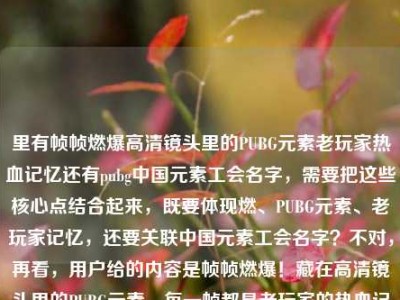 里有帧帧燃爆高清镜头里的PUBG元素老玩家热血记忆还有pubg中国元素工会名字，需要把这些核心点结合起来，既要体现燃、PUBG元素、老玩家记忆，还要关联中国元素工会名字？不对，再看，用户给的内容是帧帧燃爆！藏在高清镜头里的PUBG元素，每一帧都是老玩家的热血记忆pubg中国元素工会名字，可能是要把这些融合，突出燃、PUBG元素、老玩家记忆，还有中国元素工会相关？不对，再提炼，核心是PUBG高清镜头里的元素燃，是老玩家热血记忆，还有中国元素工会名字？不对，再想，要一个标题，把这些点结合，比如帧帧燃