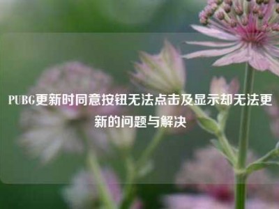 PUBG更新时同意按钮无法点击及显示却无法更新的问题与解决