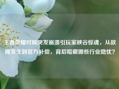 王者荣耀对局突发崩溃引玩家峡谷惊魂，从故障发生到官方补偿，背后暗藏哪些行业隐忧？