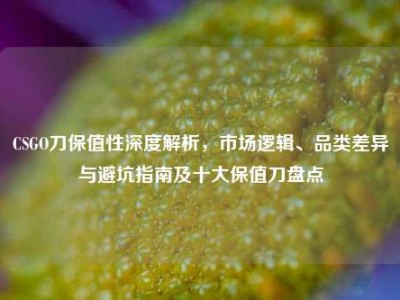 CSGO刀保值性深度解析，市场逻辑、品类差异与避坑指南及十大保值刀盘点