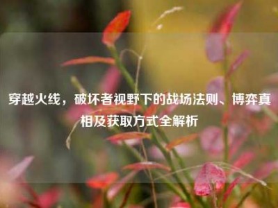 穿越火线，破坏者视野下的战场法则、博弈真相及获取方式全解析
