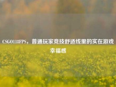 CSGO118FPS，普通玩家竞技舒适线里的实在游戏幸福感