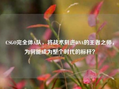 CSGO完全体A队，将战术刻进DNA的王者之师，为何能成为整个时代的标杆？