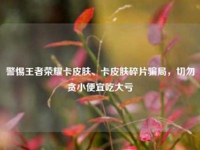警惕王者荣耀卡皮肤、卡皮肤碎片骗局，切勿贪小便宜吃大亏