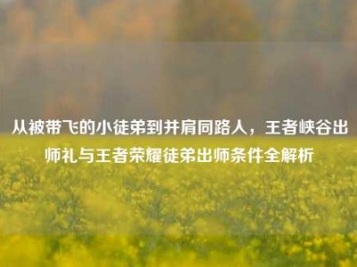 从被带飞的小徒弟到并肩同路人，王者峡谷出师礼与王者荣耀徒弟出师条件全解析