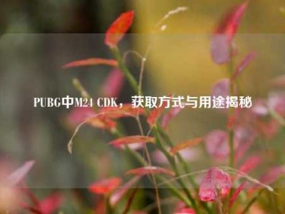 PUBG中M24 CDK，获取方式与用途揭秘