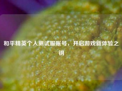 和平精英个人测试服账号，开启游戏新体验之钥