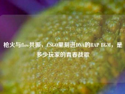 枪火与flow共振，CSGO里刻进DNA的RAP BGM，是多少玩家的青春战歌