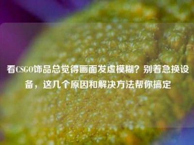 看CSGO饰品总觉得画面发虚模糊？别着急换设备，这几个原因和解决方法帮你搞定
