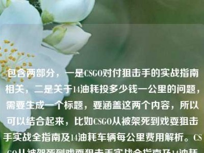包含两部分，一是CSGO对付狙击手的实战指南相关，二是关于14油耗投多少钱一公里的问题，需要生成一个标题，要涵盖这两个内容，所以可以结合起来，比如CSGO从被架死到戏耍狙击手实战全指南及14油耗车辆每公里费用解析。CSGO从被架死到戏耍狙击手实战全指南及14油耗车辆每公里费用解析