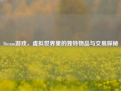 Steam游戏，虚拟世界里的独特物品与交易探秘
