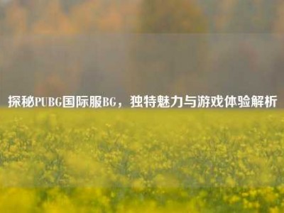 探秘PUBG国际服BG，独特魅力与游戏体验解析