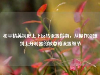 和平精英视野上下反转设置指南，从操作别扭到上分利器的被忽略设置细节