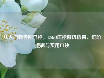 从入门到告别马枪，CSGO压枪避坑指南、进阶逻辑与实用口诀
