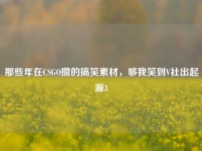那些年在CSGO攒的搞笑素材，够我笑到V社出起源3