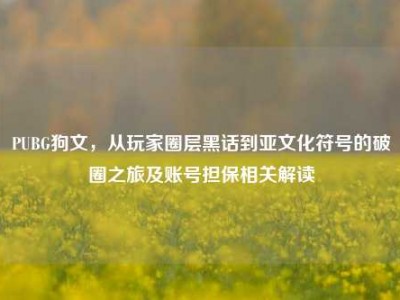 PUBG狗文，从玩家圈层黑话到亚文化符号的破圈之旅及账号担保相关解读