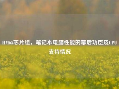 HM65芯片组，笔记本电脑性能的幕后功臣及CPU支持情况