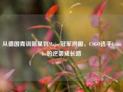 从德国青训新星到Major冠军拼图，CSGO选手krimbo的逆袭成长路