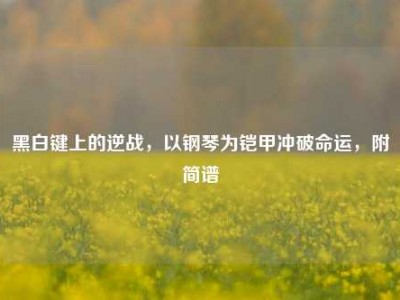 黑白键上的逆战，以钢琴为铠甲冲破命运，附简谱