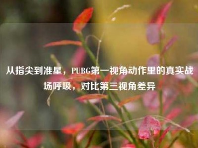 从指尖到准星，PUBG第一视角动作里的真实战场呼吸，对比第三视角差异