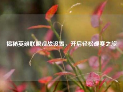 揭秘英雄联盟观战设置，开启轻松观赛之旅