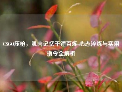 CSGO压枪，肌肉记忆千锤百炼 心态淬炼与实用指令全解析