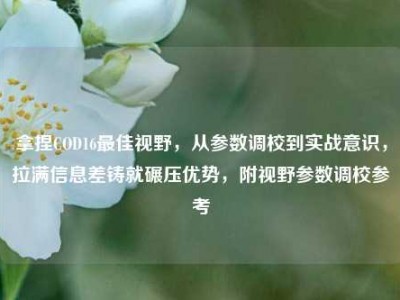 拿捏COD16最佳视野，从参数调校到实战意识，拉满信息差铸就碾压优势，附视野参数调校参考