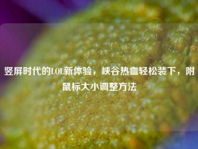 竖屏时代的LOL新体验，峡谷热血轻松装下，附鼠标大小调整方法