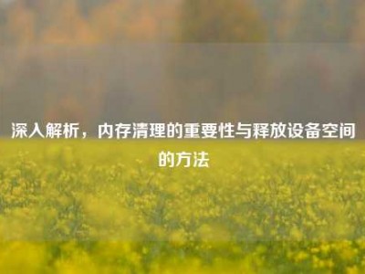 深入解析，内存清理的重要性与释放设备空间的方法