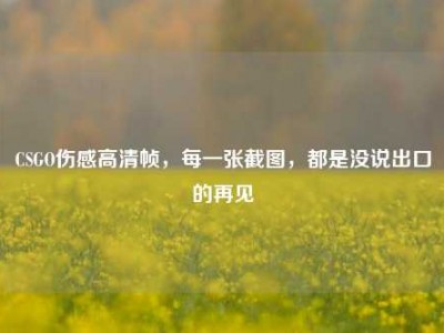 CSGO伤感高清帧，每一张截图，都是没说出口的再见