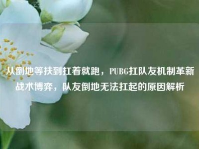 从倒地等扶到扛着就跑，PUBG扛队友机制革新战术博弈，队友倒地无法扛起的原因解析