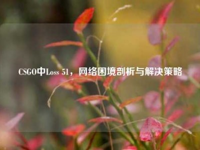 CSGO中Loss 51，网络困境剖析与解决策略