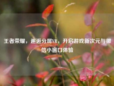 王者荣耀，邂逅分屏VR，开启游戏新次元与微信小窗口体验