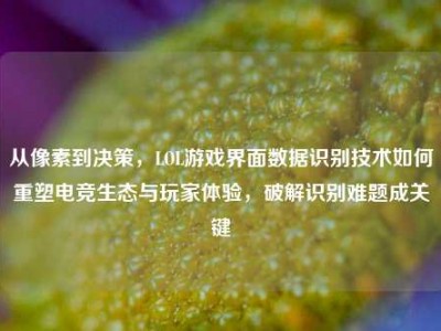 从像素到决策，LOL游戏界面数据识别技术如何重塑电竞生态与玩家体验，破解识别难题成关键