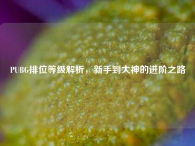 PUBG排位等级解析，新手到大神的进阶之路