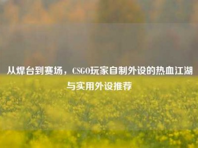 从焊台到赛场，CSGO玩家自制外设的热血江湖与实用外设推荐
